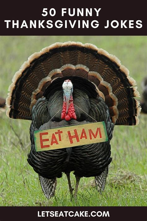 50 Funny Thanksgiving Jokes And One Liners Let S Eat Cake