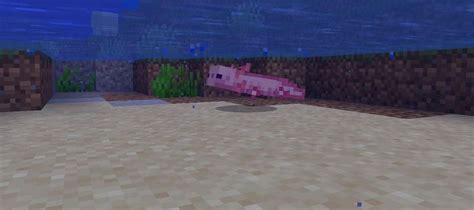 Axolotl Pond Design Minecraft