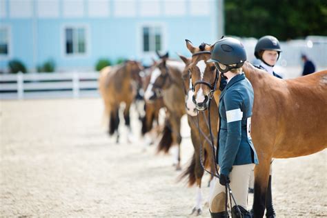 Devon Horse Show Multi Breed Competition Us Equestrian
