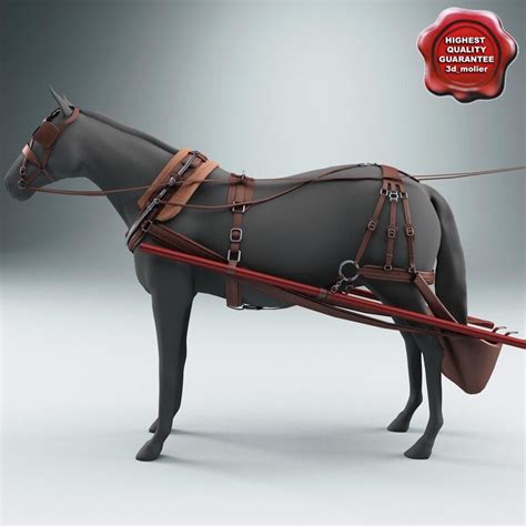 3d Model Harness Buy Now 91485747 Pond5 In 2024 Horses Horse