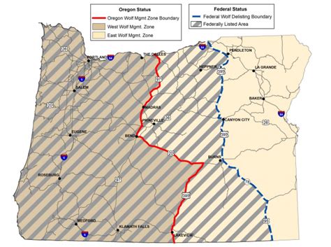 Options For Recovery Of The Gray Wolf Wolves In The State Of Oregon