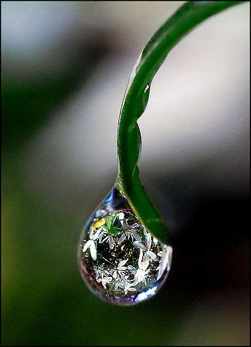 500 Rainbowwater Dropletsreflectionsbubbles Ideas Water Droplets