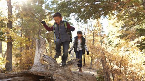 Four STEM Tools to Get Kids Learning and Exploring Outdoors | MindShift ...