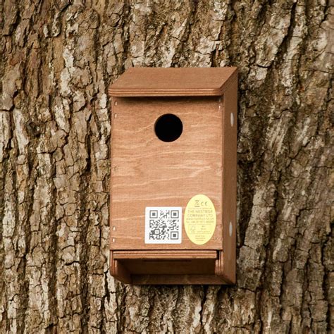 House Sparrow Nest Box The Nestbox Company