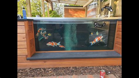 Koi Pond Update No 13 New Fish Upcoming Giveaway Ashp Costing