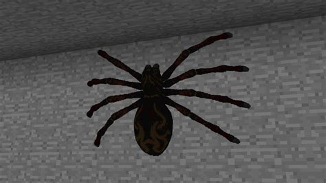 Minecraft Real Life Spider