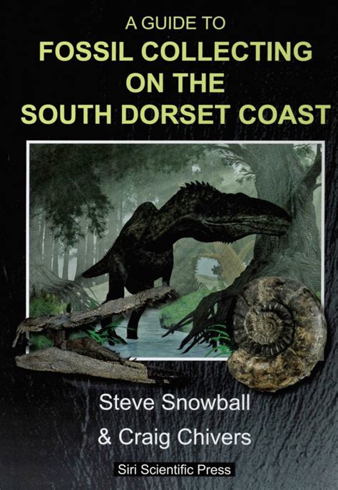 A Guide To Fossil Collecting On The South Dorset Coast Earthlines