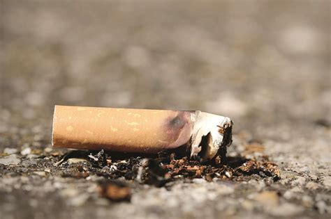 Six fined for littering with cigarettes ends in places such as ...