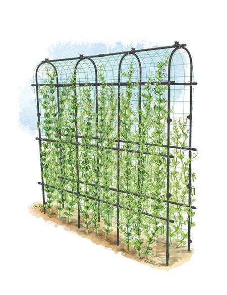Metal wire garden plant support. Titan Pea Tunnel - High Tunnel Trellis | Gardeners.com ...