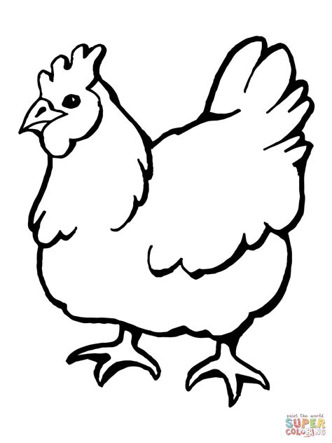 domestic hen bird coloring page free printable coloring pages