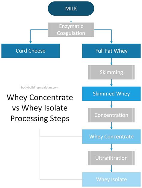 Whey Protein Isolate Vs Concentrate Which Is Better For Quality And Cost
