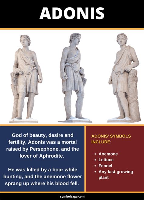 Adonis God Of Beauty Desire And Fertility Greek Mythology
