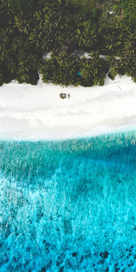 Download 1080x2160 Wallpaper Palms Aerial View Beach Tropical Sea