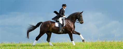 The Complete Guide To Equestrian Dressage Attire Kavallerie
