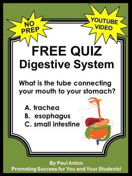 Explorelearning1/5print pageback to assessment questionsassessment questions:jesus robertq1q2q3q4q5scoreyour resultssaved for class pd. Digestive System: Here is a free digestive system ...
