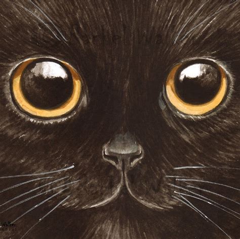 Spookie The Cat Black Cat Magic Big Eyes Cute Cat Face Etsy