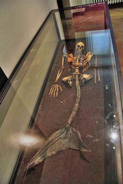 Five Weird Things To See In The Danish National Museum Real Mermaids