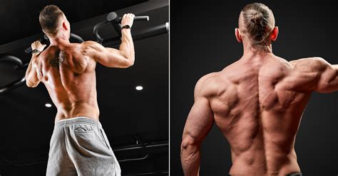 Calisthenics Back Workout For Size And Strength Fitness Volt