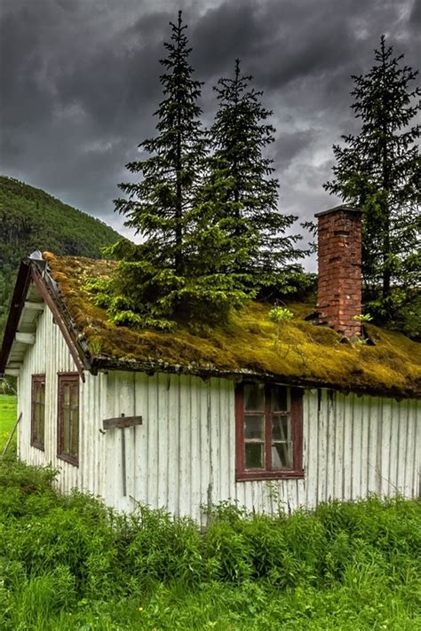 Wallpaper Hemsedal Norway House Moss Trees Grass Mountain Clouds