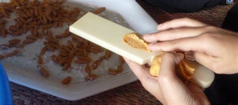 Maybe you would like to learn more about one of these? Segalanya Di Sini: Kuih Tradisi - Kuih Siput (No Stock)