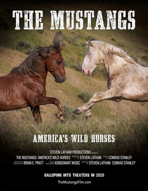 The Mustangs Americas Wild Horses Igniting Passion For Nature