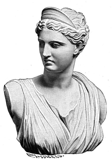 Profile of Artemis Greek Goddess of the Hunt