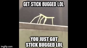 You Just Got Stick Bugged Imgflip