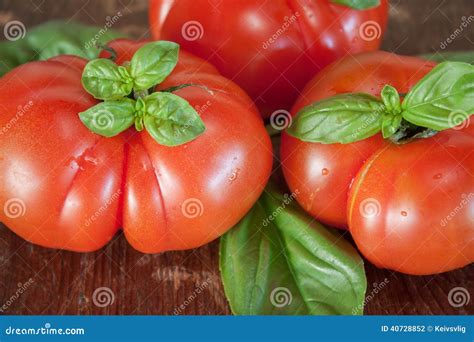 Fresh Tomatoes And Basil Stock Photo Image Of Closeup 40728852