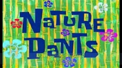 Spongebob Squarepants Season 1 Review Nature Pantsopposite Day