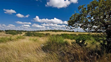 Texas Hill Country Land for Sale