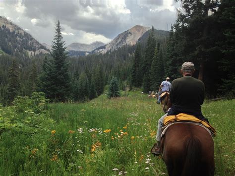 Epic Adventure Vail To Aspen Bearcat Stables