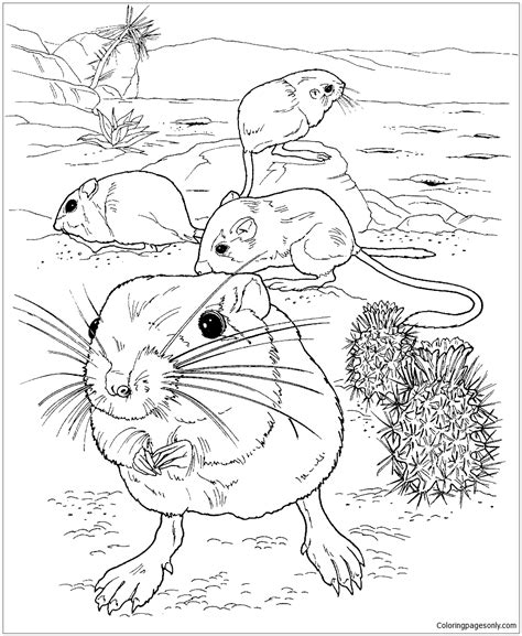 Explore 623989 free printable coloring pages for your kids you can use our amazing online tool to color and edit the following kangaroo coloring pages. Giant Kangaroo Rats On The Desert Coloring Page - Free ...