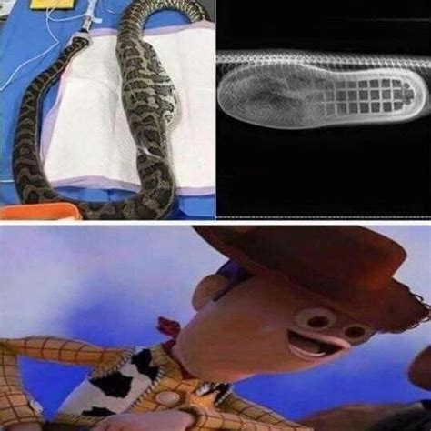 Theres A Boot In My Snake Meme Memeghj