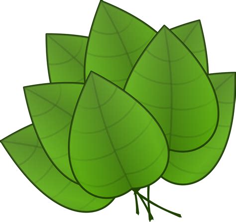 Cartoon Leaf Png Free Logo Image
