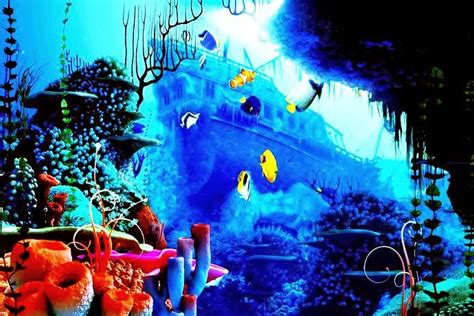Coral Reef 3d Screensavers3d Screensavers Moving Wallpapers
