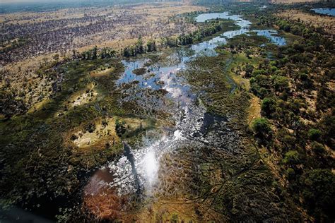 Okavango Delta Safari Explore Wilderness And Wildlife Safari Ventures