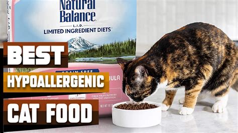 Best Hypoallergenic Cat Food In 2023 Top 10 Hypoallergenic Cat Foods