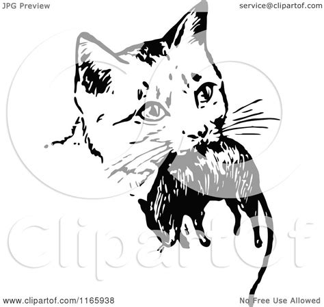 Clipart Of A Retro Vintage Black And White Cat With A