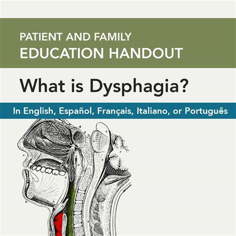 Dysphagia Therapy Insights