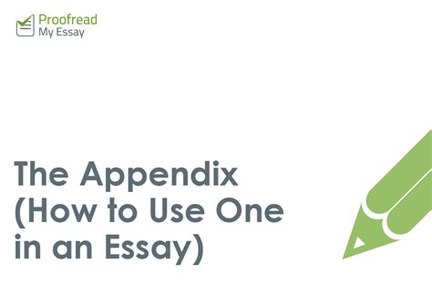 Apa Appendix Example