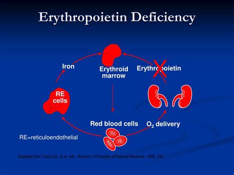 Ppt Management Of Anemia In Chronic Kidney Disease Powerpoint