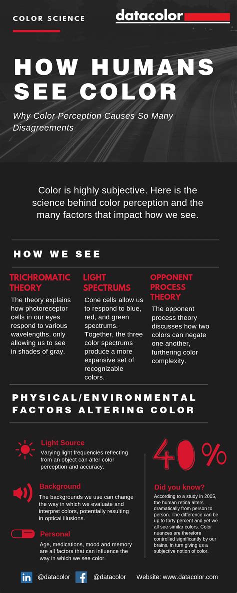 How Are Humans Able To Perceive Colors Other Than Red Green And Blue
