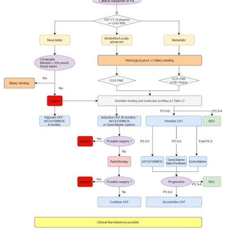 Targeted Therapy In Pancreatic Cancer Download Scientific Diagram