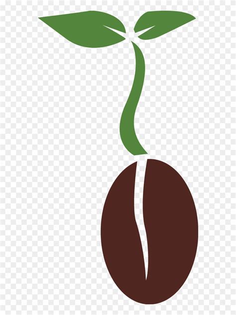Planting Clipart Plant Seed Planting Plant Seed