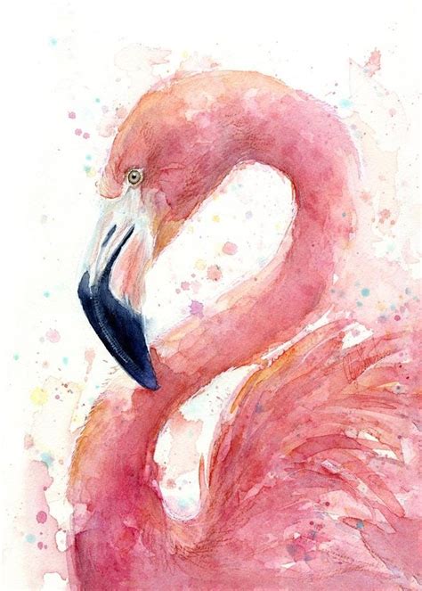 Pink Flamingo Watercolor An Art Print By Olga Shvartsur Flamingo Art