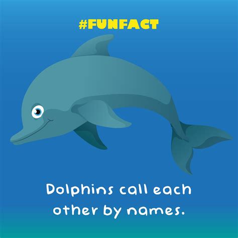 23 Fantastically Fun Facts For Kids Night Zookeeper Blog