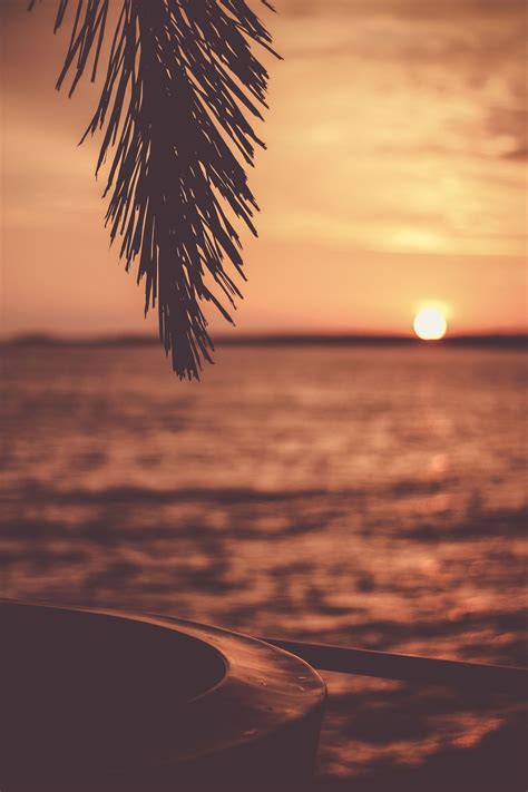 Sunset Vibes Wallpapers Wallpaper Cave