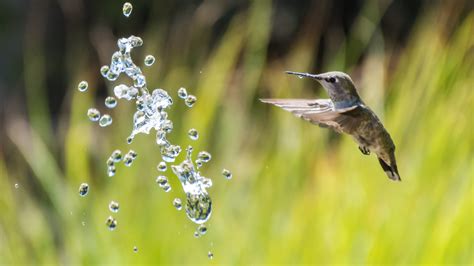 Shutter Speed In Photography The Essential Guide