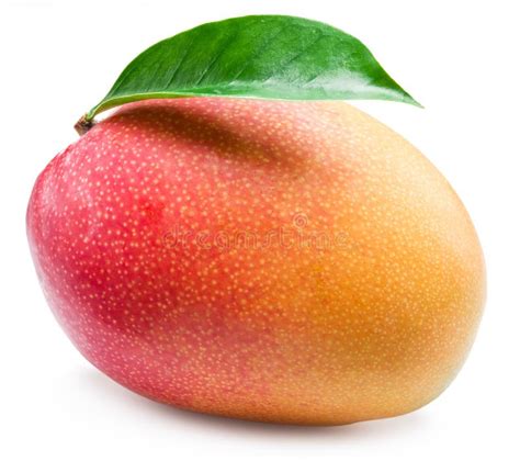 Mango Fruit With Leaf Isolated On A White Background Stock Photo