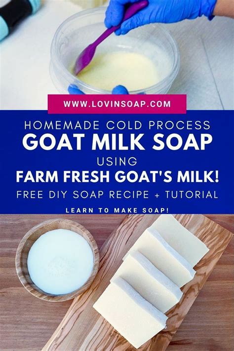 How To Make Goats Milk Soap Using Farm Fresh Goats Milk Goat Milk